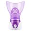 Face-Steamer1.jpg